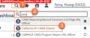 Child and Adolescent Needs and Strengths (CANS) Tool - 2023 CalMHSA